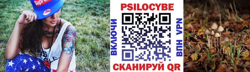 где найти   Люберцы  мориарти как зайти  Псилоцибиновые грибы Psilocybe 